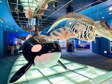 名古屋港水族館に投稿された画像（2023/8/2）