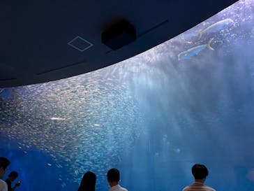 名古屋港水族館に投稿された画像（2023/8/2）