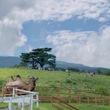 那須どうぶつ王国に投稿された画像（2023/8/2）