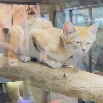 那須どうぶつ王国に投稿された画像（2023/8/2）