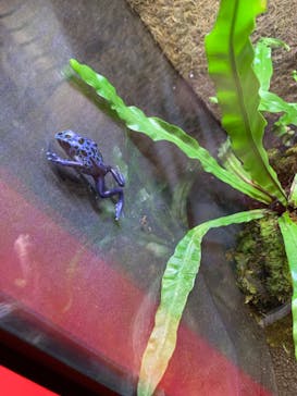 ぶっとんでるいきもの展に投稿された画像（2023/8/2）