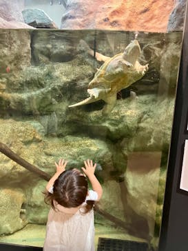 日立市かみね動物園に投稿された画像（2023/8/2）