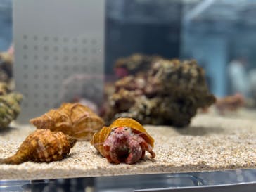 AOAO SAPPOROに投稿された画像（2023/8/2）