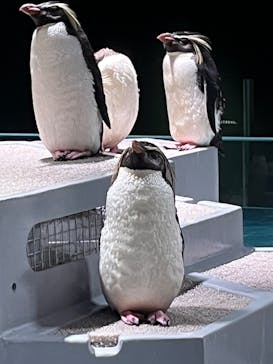 AOAO SAPPOROに投稿された画像（2023/8/2）