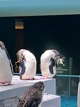 AOAO SAPPOROに投稿された画像（2023/8/2）