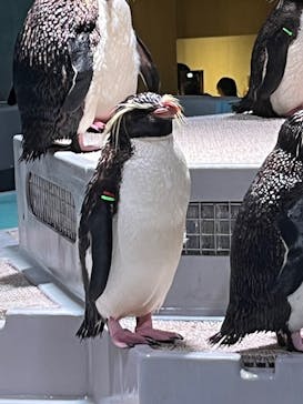 AOAO SAPPOROに投稿された画像（2023/8/2）