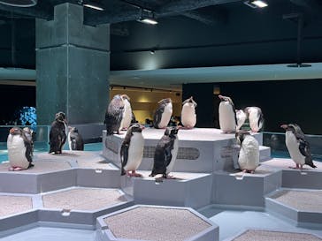 AOAO SAPPOROに投稿された画像（2023/8/2）