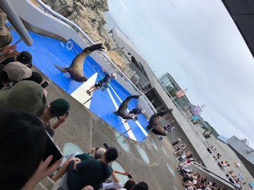 大分マリーンパレス水族館 「うみたまご」に投稿された画像（2023/8/2）