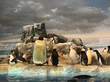 名古屋港水族館に投稿された画像（2023/8/2）