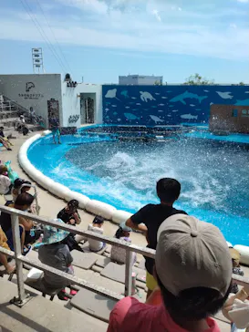 仙台うみの杜水族館に投稿された画像（2023/8/2）