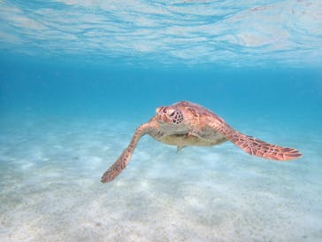 CHAMP TOUR　宮古島に投稿された画像（2023/8/2）