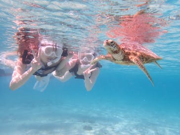 CHAMP TOUR　宮古島に投稿された画像（2023/8/2）