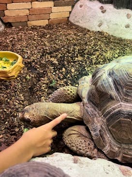 NARA IKIMONO MUSEUMに投稿された画像（2023/8/2）