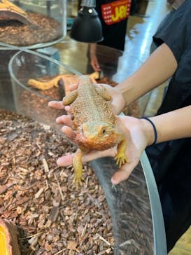 NARA IKIMONO MUSEUMに投稿された画像（2023/8/2）