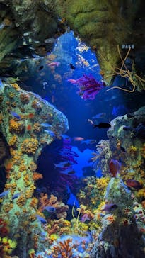 サンシャイン水族館に投稿された画像（2023/8/2）