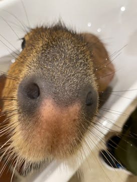 アニタッチアクアシティお台場に投稿された画像（2023/8/2）