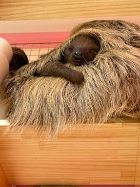 アニタッチアクアシティお台場に投稿された画像（2023/8/2）