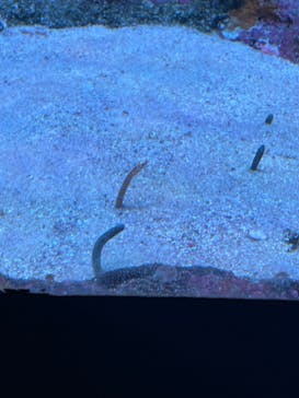 サンシャイン水族館に投稿された画像（2023/8/2）