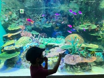 サンシャイン水族館に投稿された画像（2023/8/2）