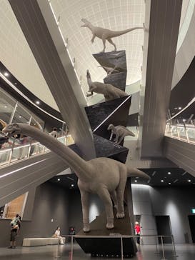 福井県立恐竜博物館に投稿された画像（2023/8/2）