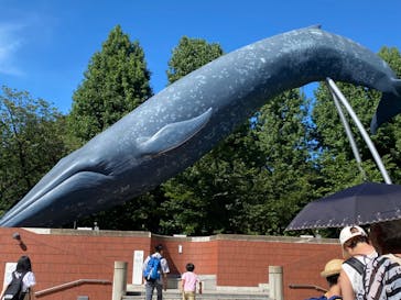 国立科学博物館に投稿された画像（2023/8/2）