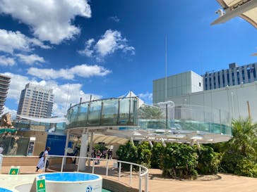 サンシャイン水族館に投稿された画像（2023/8/2）