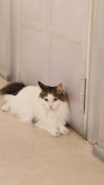 ナンジャタウンに投稿された画像（2023/8/2）