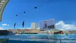 名古屋港水族館に投稿された画像（2023/8/2）