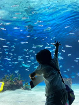サンシャイン水族館に投稿された画像（2023/8/2）
