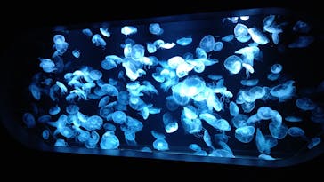 AOAO SAPPOROに投稿された画像（2023/8/2）