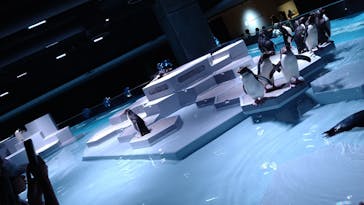 AOAO SAPPOROに投稿された画像（2023/8/2）