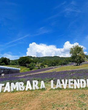 たんばらラベンダーパークに投稿された画像（2023/8/2）