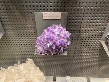 福井県立恐竜博物館に投稿された画像（2023/8/2）