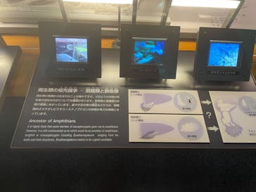 福井県立恐竜博物館に投稿された画像（2023/8/2）