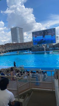 名古屋港水族館に投稿された画像（2023/8/2）