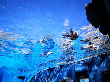 サンシャイン水族館に投稿された画像（2023/8/2）