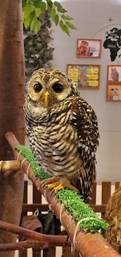 Moff animal cafe イオンモール幕張新都心店に投稿された画像（2023/8/2）