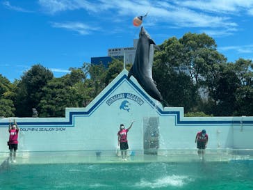 しながわ水族館に投稿された画像（2023/8/2）