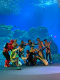 仙台うみの杜水族館に投稿された画像（2023/8/2）