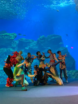 仙台うみの杜水族館に投稿された画像（2023/8/2）