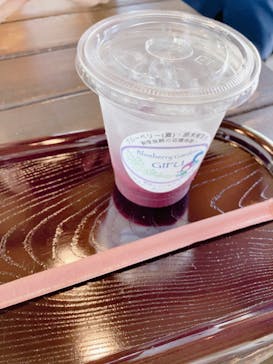 ブルーベリーガーデン岐阜に投稿された画像（2023/8/2）