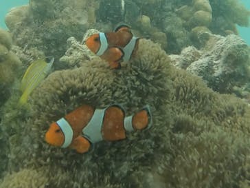 宮古島マリン GB QUESTに投稿された画像（2023/8/2）