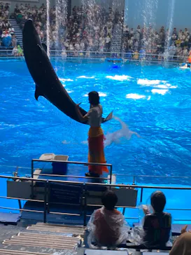 マクセル アクアパーク品川に投稿された画像（2023/8/2）