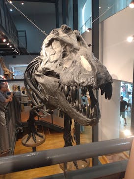 福井県立恐竜博物館に投稿された画像（2023/8/2）