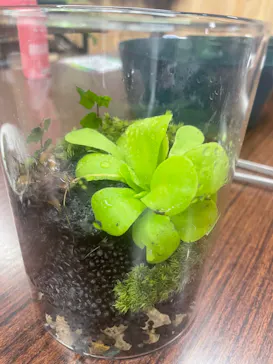 神戸どうぶつ王国に投稿された画像（2023/8/2）