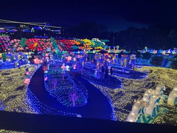 伊豆ぐらんぱる公園に投稿された画像（2023/8/2）