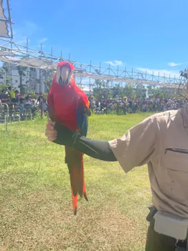 神戸どうぶつ王国に投稿された画像（2023/8/2）