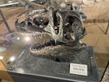 福井県立恐竜博物館に投稿された画像（2023/8/2）