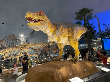 福井県立恐竜博物館に投稿された画像（2023/8/2）