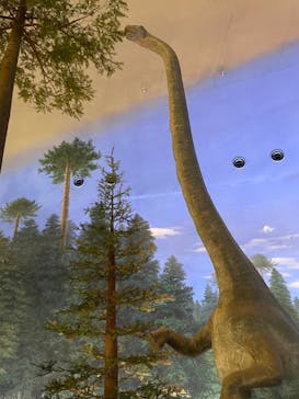 福井県立恐竜博物館に投稿された画像（2023/8/2）